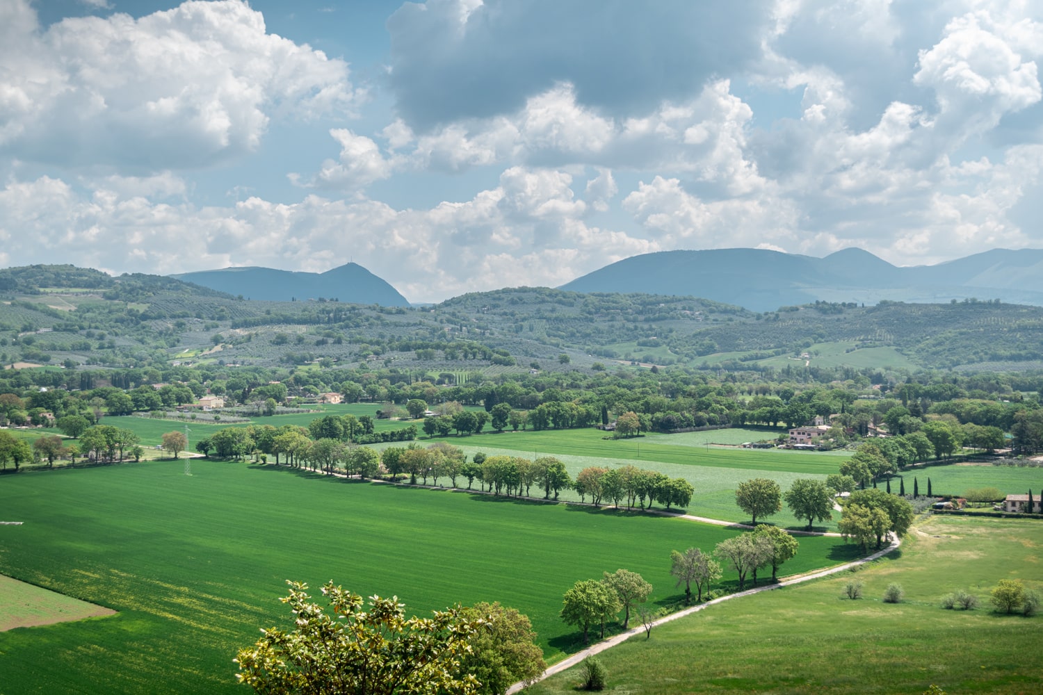 Vista della valle dagli appartamenti In Urbe di Spello